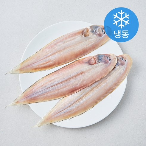 영광법성포 반건조 박대 3미 (냉동), 1개, 450g