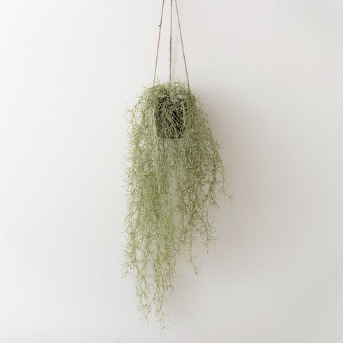 플라우스302 조화 틸란드시아 행잉 화분 벽걸이장식 80cm, 그린, 1개