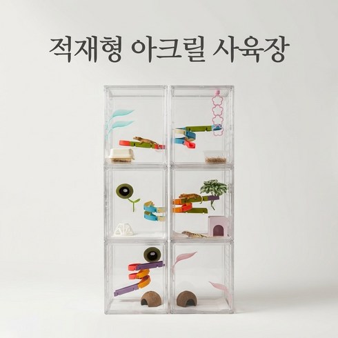 포디움 크레스티드 게코 도마뱀 아크릴 적재형 사육장 렉사육장, 1개, 적재형 중형