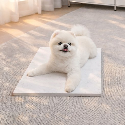 아미체볼레 강아지 쿨매트 대리석 고양이 여름 방석 반려동물 침대 엔지니어드스톤 냉감 패드, 1개, [랜덤발송]밝은계열