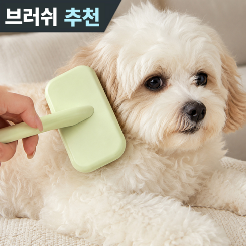온도비움 강아지 고양이 슬리커 브러쉬 엉킨털 제거 저자극 빗, 1개, 민트(S)
