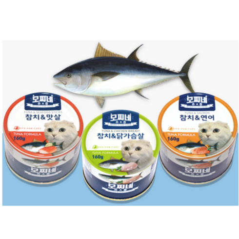 모찌네 생후 3개월 이상 고양이 츄릅 간식캔, 연어+참치, 160g, 24개