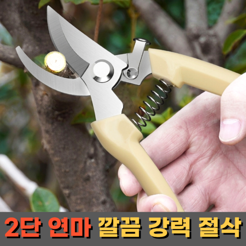 엠유티디 작업편한 강력절삭 전지 가위, 1개
