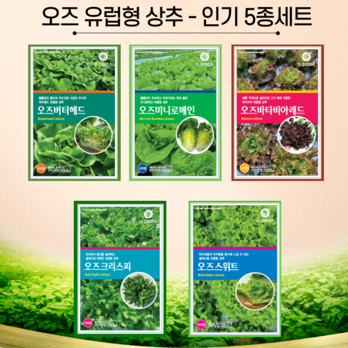 유럽 상추 씨앗 5종 세트, 1개, 유럽상추씨앗 5종세트