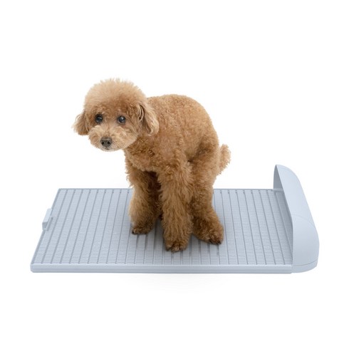 독톡 강아지 배변판 패드필요없음, 라이트블루, 1개