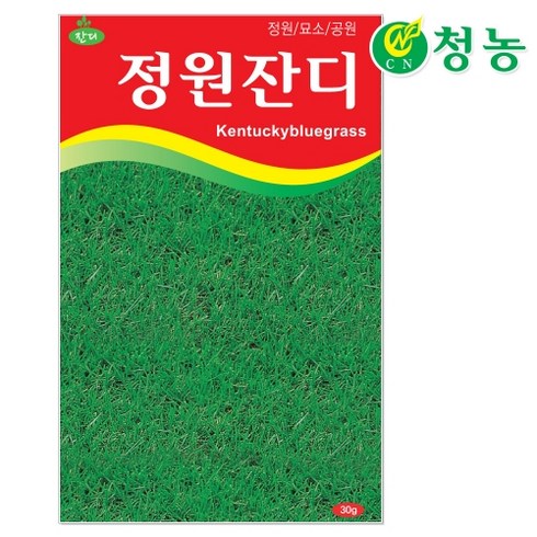 잔디씨앗 30g 정원잔디 공원잔디 묘소잔디 다용도잔디 씨앗 케이스스탁, 1개