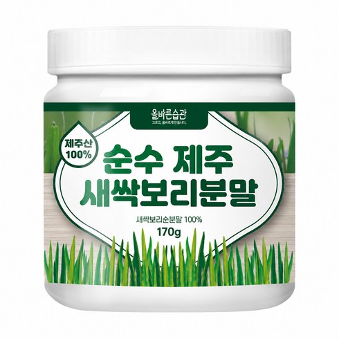 올바른습관 순수 제주 새싹보리 분말, 170g, 1개