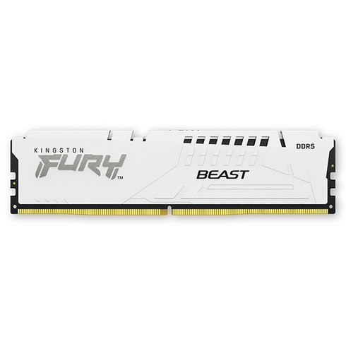 [공식수입사] Kingston DDR5-5600 CL36 FURY Beast 화이트 16GB 코잇