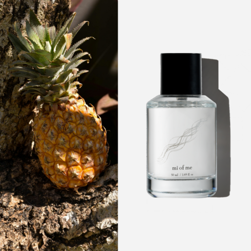 미오브미 어벤투스 니치 향수 오드퍼퓸, 1개, 50ml