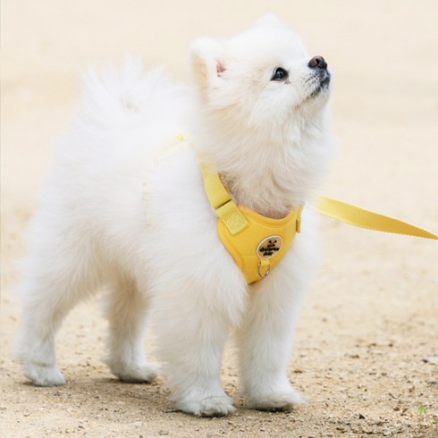 로이벤 편안한 베이직 하네스 + 리드줄 분리형 세트, 1개, 옐로우