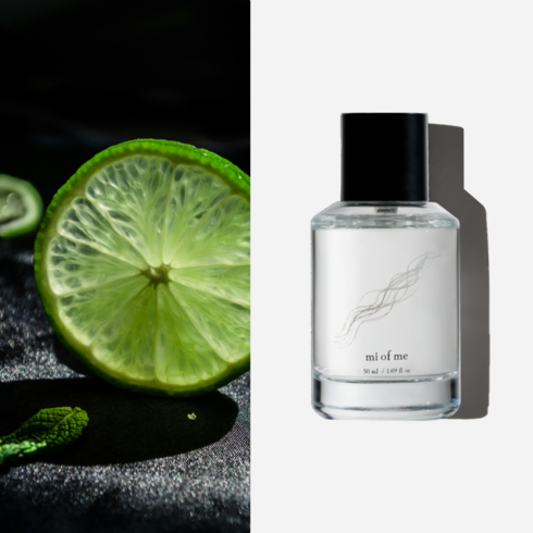 미오브미 라임 바질 앤 만다린 니치 향수 오드퍼퓸, 1개, 50ml