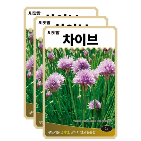 차이브 씨앗 (1gx3) 허브씨앗 챠이브 Chives allium, 3개