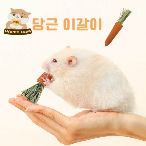 행복햄 피그미다람쥐 햄스터 당근 이갈이, 30개