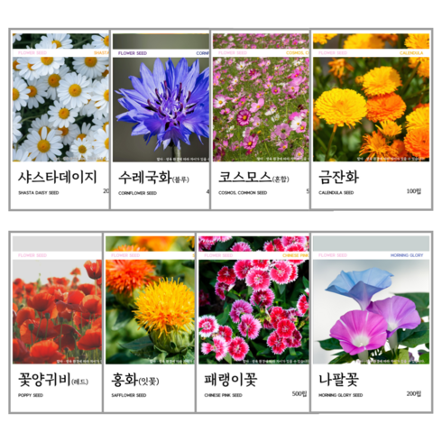 꽃씨 8종 모음, 8개