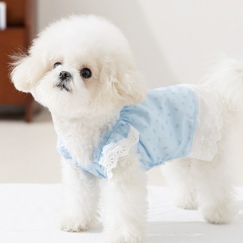 Coablu 강아지 고양이 플라워 리본 민소매 원피스 얇은 통기성, 1개, 파란색