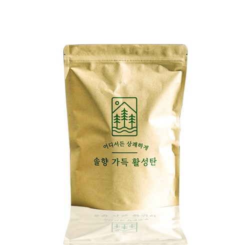 솔향 가득 야자 활성탄 탈취 베이크아웃 새집증후군 습기제거 제습제 공기정화, 1개, 500g