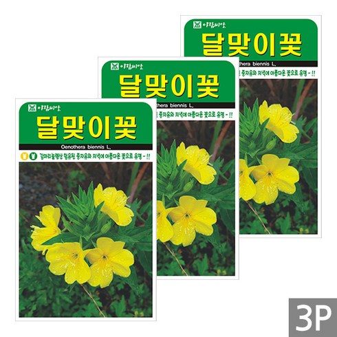 세인화분 달맞이꽃 4000립 - 야생화 꽃 씨 씨앗, 3개