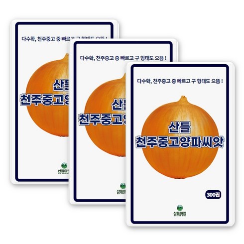 산들 천주중고 양파씨앗 300립 다수확 천주중고 중 빠르고 형태도 좋은 소량 양파씨 종자, 3개