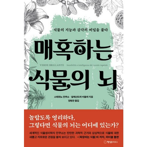 매혹하는 식물의 뇌:식물의 지능과 감각의 비밀을 풀다, 행성B, 스테파노 만쿠소, 알레산드라 비올라