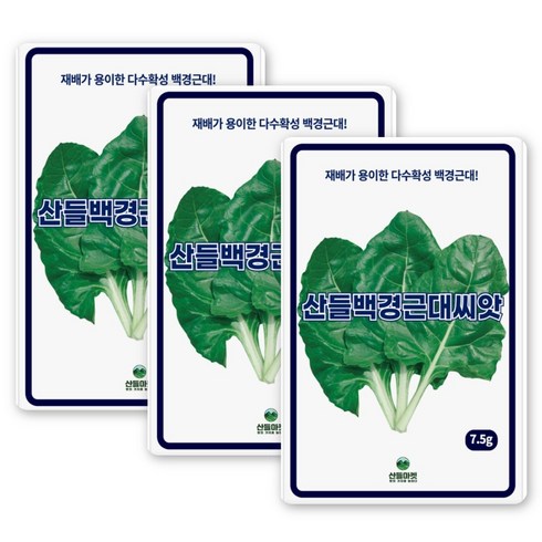 산들 백경 근대씨앗 7.5g 내병성 다수확성 백색 근대씨 종자, 3개