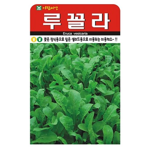 아람종묘 루꼴라 씨앗 2000립, 1개
