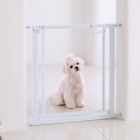 식스포인츠 아이뷰 투명 강아지 안전문 높이 78cm 반려동물 펜스 펫도어, 1개, 화이트