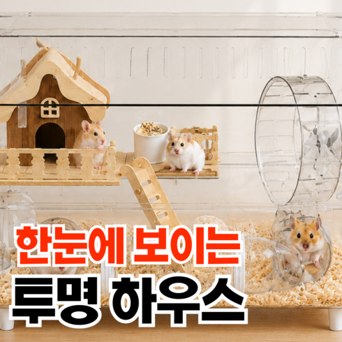 토글리 넓은공간 대형 햄스터집 햄스터 케이지, 1개, 투명