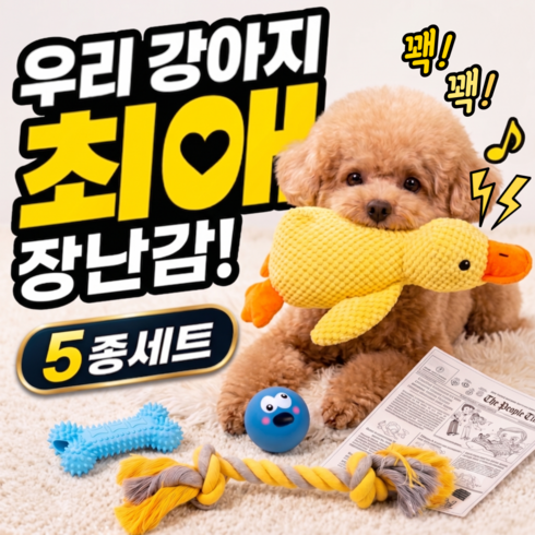 강아지 장난감 5종 세트, 옐로우+블루+화이트+블랙, 1세트