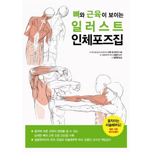 뼈와 근육이 보이는 일러스트 인체포즈집, 한스미디어, 사토 요시타카 저/김현영 역/조용진 감수