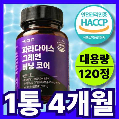 유캔헬씨 파라다이스 그레인 버닝 추출물 그래인 플러스, 1개, 120정
