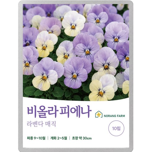 [노랑팜] 비올라 피에나 라벤더 매직 씨앗 10립 제비꽃 꽃씨 가을파종, 1개