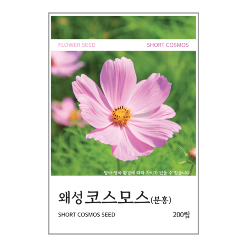 새싹바라기 왜성코스모스(분홍) 씨앗 200립, 1개