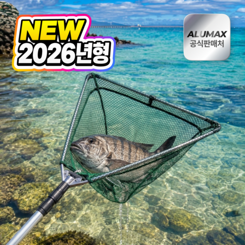 아트리빙스 뜰채 물고기 해루질 낚시 바다, 실버