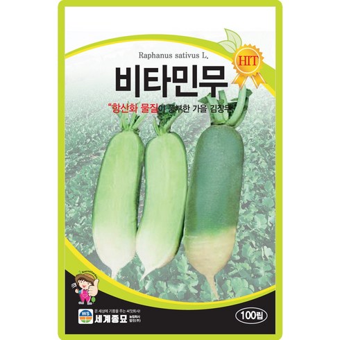 세계종묘 비타민무 씨앗 100립 가을 김장무씨 종자, 1개