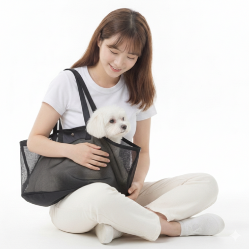 반려동물 이동가방 여름 캐리어 외출 이동장, 1개, 블랙