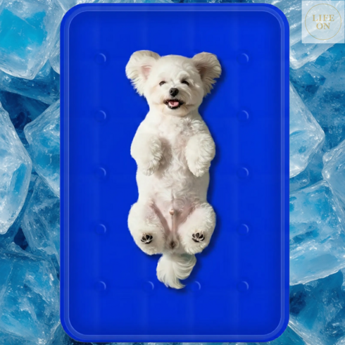 라이프온 아이스젤 쓱닦 강아지 쿨매트, 1개, 아이스네이비