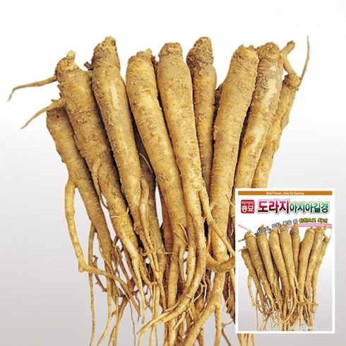 아시아종묘 도라지 아시아길경 씨앗 6g, 6개