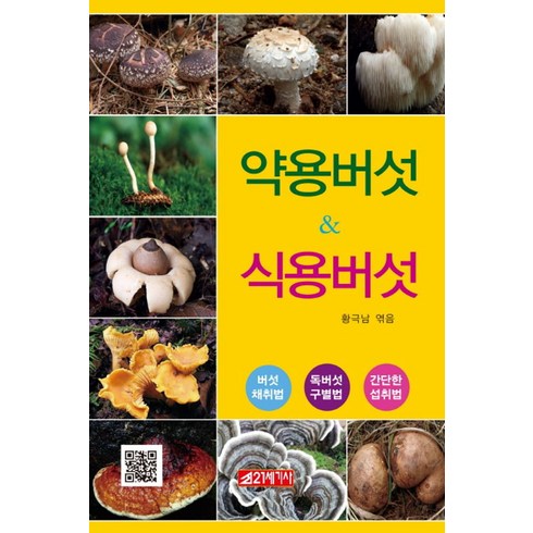 약용버섯 & 식용버섯:버섯 채취법/독버섯 구별법/간단한 섭취법, 21세기사, 황극남(엮음)