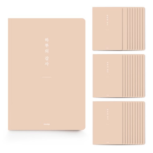 [물가] 베이직 하루의 감사노트, 30개, 오렌지