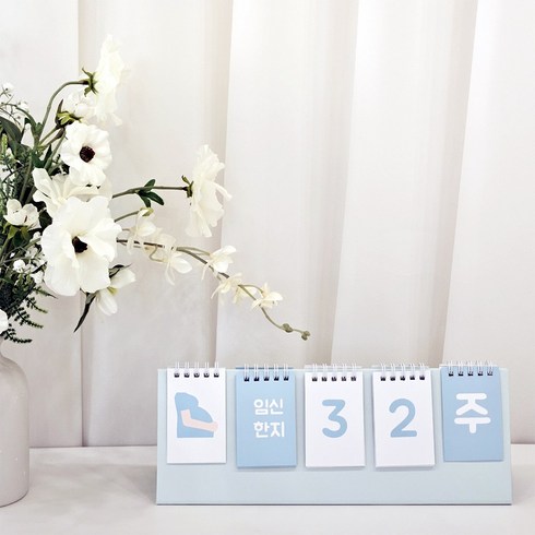 신생아 5칸 디데이달력 아기 육아 캘린더, 1개, 블루