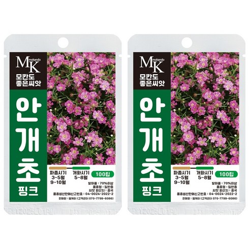 모칸도 좋은씨앗 안개초 핑크 씨앗 100립 꽃씨 꽃씨앗, 2개