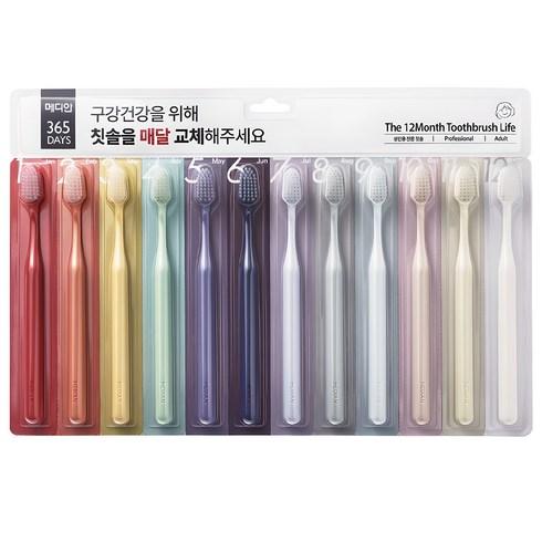 메디안 국내 제조 성인용 365DAYS 칫솔, 12개입, 1개