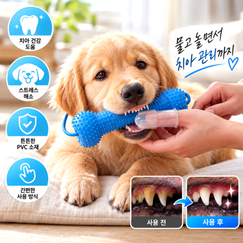 윤베라 강아지 치아관리 덴탈 토이 양치 보조 장난감, 1개, 블루