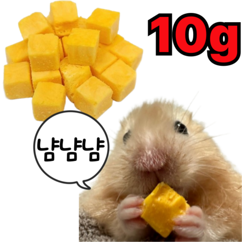 햄스터 간식 노른자트릿 동결건조 계란 노른자, 1개, 10g
