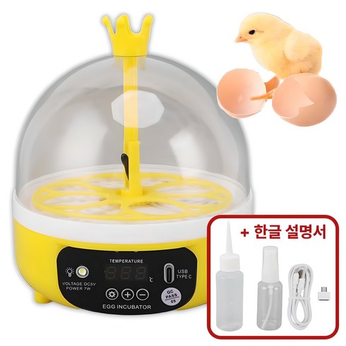 가정용 4구 계란 병아리 부화기 필요회복, 1개, 화이트
