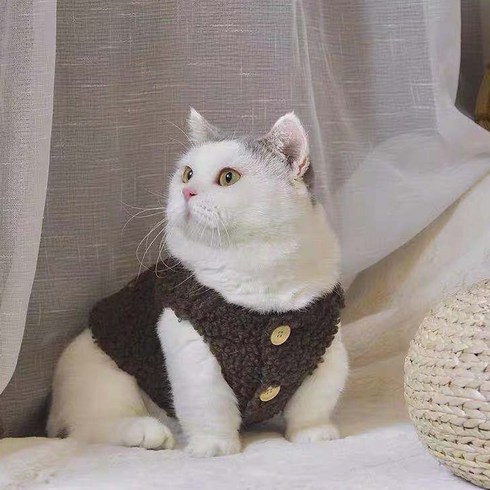 고양이조끼 반려동물 뽀글이 고양이 옷, 브라운, 1개