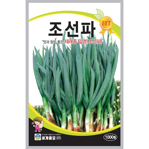 세계종묘 산들마켓 조선파 씨앗 1000립 재래종 대파 구조파 씨 종자, 1개