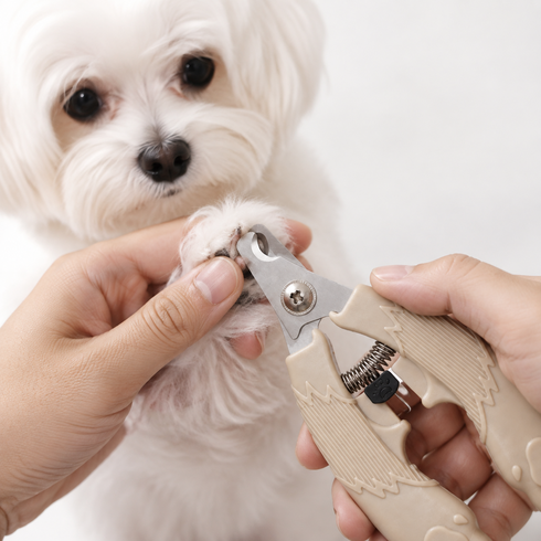 포프린츠펫 강아지 고양이 반려동물 발톱깎이 펫 네일 클리퍼, 1개, 딥커피 브라운(소형)