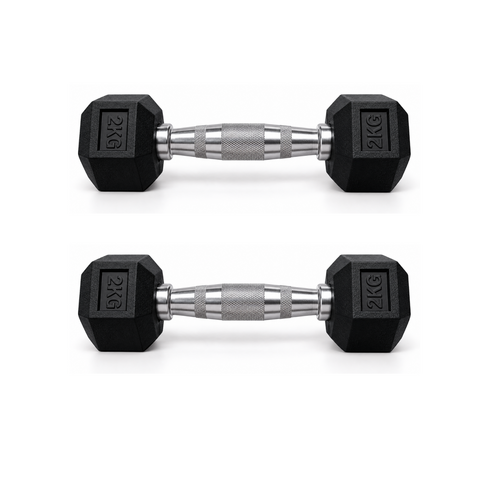 드래곤핏 홈짐 PEV 헥사곤 덤벨 헬스장 육각 아령, 2개, 2kg