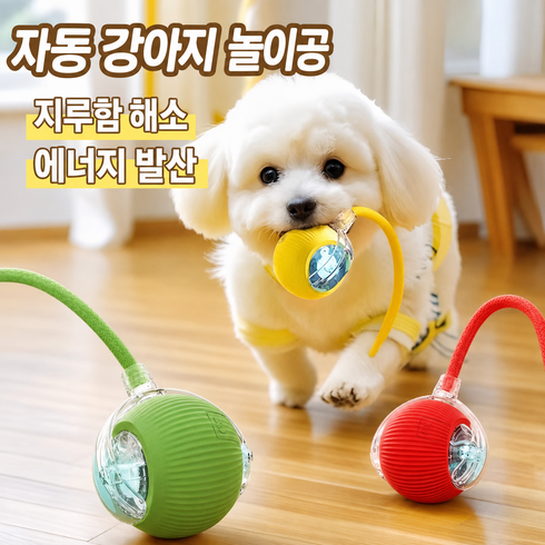 강아지 움직이는 자동장난감 스마트 롤링볼 USB 충전식 LED 로프공 3가지 놀이모드 소형견 실내 놀이, 1개, 그린색